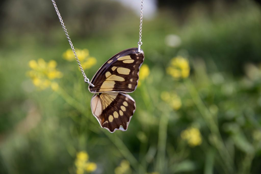 joyas mariposas